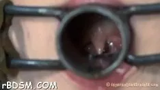চালান সডোমাসোচিজম ল্যাম্বাস্টে