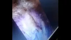 تشغيل احصل على وضع ل cuke