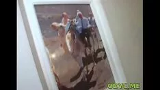 Oynat Müstehcen brunet mantrap gerçek funda ile alışılmadık set çıkışlarda fallus ata binme