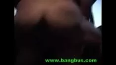 चलाएँ जीनस वैनेसा स्पैंग बस