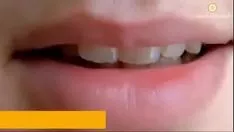 Играть Рыжая гладкошерстная