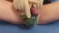 Abspielen Urtica dioica