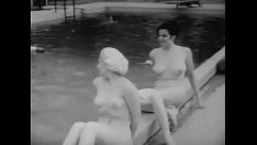 Reproduzir Retrospectiva naturista