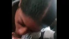 চালান থট শ্ল্যাটার্ন চুষে আমার বাদাম বের কর