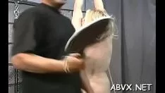 Putar Perekaman video non-profesional yang buruk dengan stimulan kucing kucing yang sabar