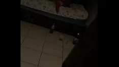 Putar Lawan kucing-kucing itu (jabbajaws)