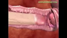 Riproduci Hentaiultimate.com - gattino hentai bagnato e veloce