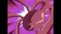Abspielen Amv Edge in der Welt