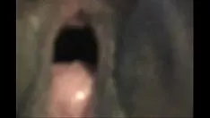 চালান 2422837 আবলুস গাছ গুরুতরভাবে জেটিং