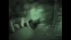 Reproducir striptease