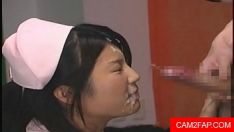再生 日本のミッシーの神経質な顔のダイジェスト