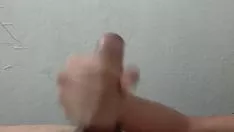 चलाएँ स्ट्रे 2