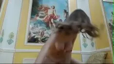 চালান সত্যিকারের আনন্দদায়ক শিশু