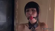 Jouer Une paire anormale avait une triade avec un coup de poing asiatique