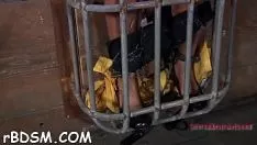 Reproducir Liberar tortura porno